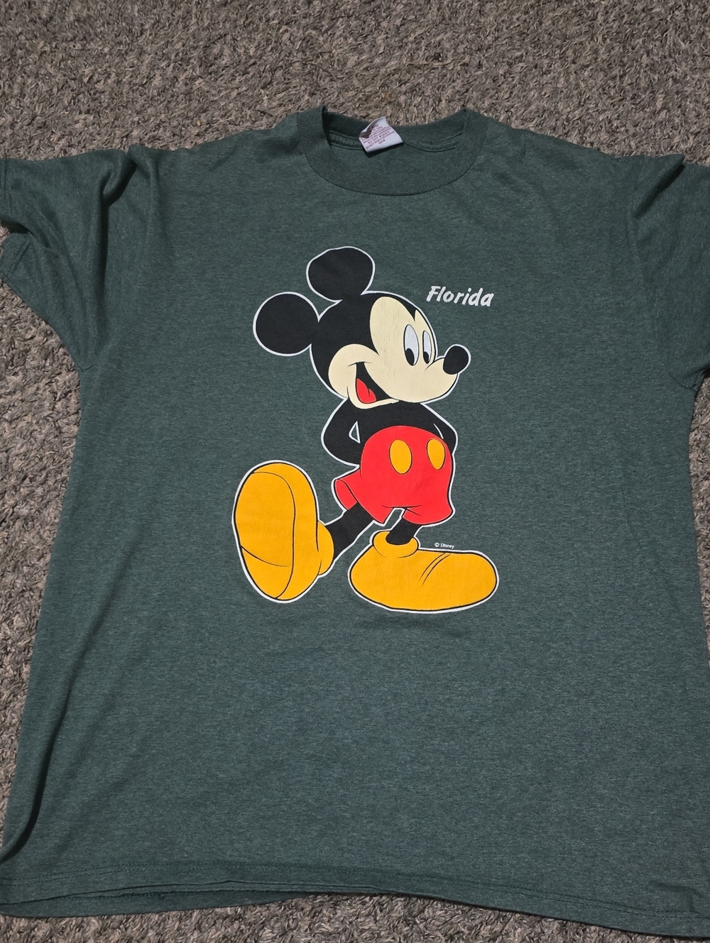 Disney Mickey Mouse Florida Graphic Tee - Forest Green